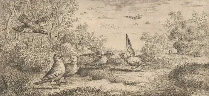 Framed Print : Garrulus, Gey (The Jay): Livre d Oyseaux (Book of Birds), 1655-1660 Framed Print : Garrulus, Gey (The Jay): Livre d Oyseaux (Book of Birds), 1655-1660