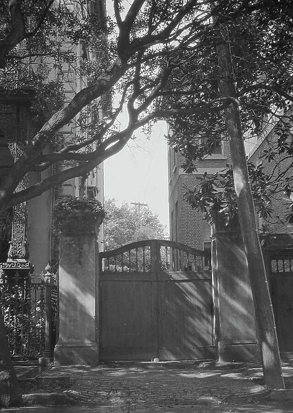 Gate between two buildings, New Orleans, or Charleston, South Carolina, between 1920 and 1926. Creator: Arnold Genthe