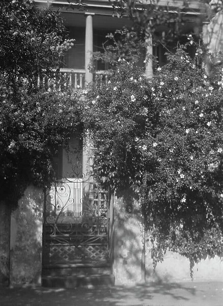 Gate to house garden, [George Eveleigh House, 39 Church Street], Charleston, South Ca... c1920-1926 Creator: Arnold Genthe