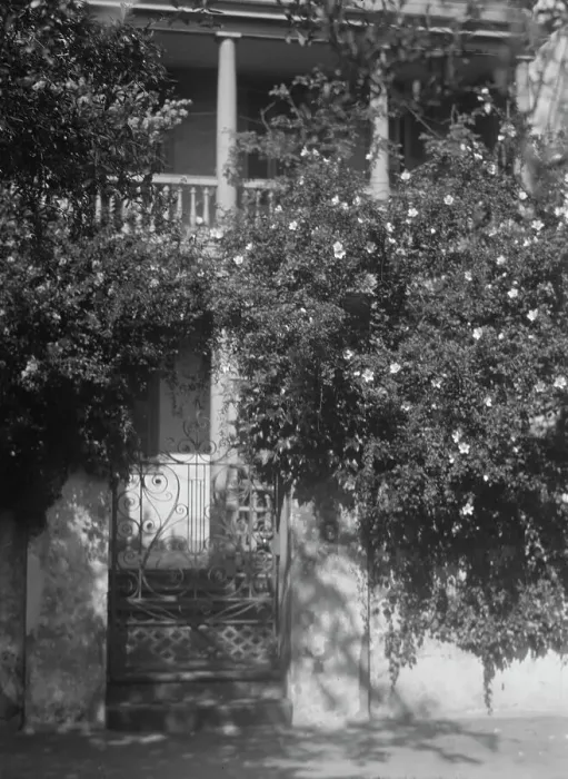 Framed Print : Gate to house garden, [George Eveleigh House, 39 Church Street], Charleston, South Ca... c1920-1926 Creator: Arnold Genthe