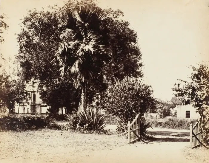 Framed Print : Gate Leading into Our House, 1850s. Creator: Captain R. B. Hill Framed Print : Gate Leading into Our House, 1850s. Creator: Captain R. B. Hill