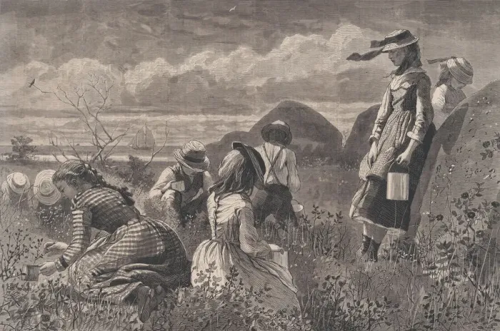 Framed Print : Gathering Berries (Harpers Weekly, Vol. XVIII), July 11, 1874. Creator: W. H. Lagarde Framed Print : Gathering Berries (Harpers Weekly, Vol. XVIII), July 11, 1874. Creator: W. H. Lagarde