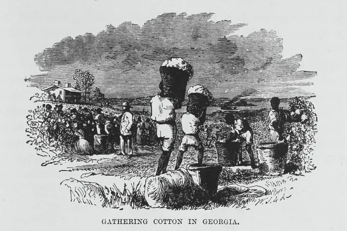 Framed Print : Gathering cotton in Georgia, 1882. Creator: Unknown Framed Print : Gathering cotton in Georgia, 1882. Creator: Unknown