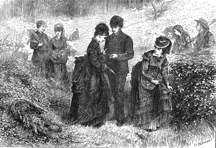 Framed Print : Gathering ferns, 1871. Creator: H Paterson Framed Print : Gathering ferns, 1871. Creator: H Paterson