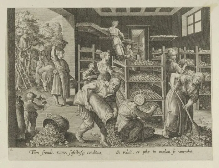 Framed Print : The Gathering of Mulberry Leaves and the Feeding of the Silkworms, Plate 5 from The I... ca. 1595. Creator: Karel van Mallery Framed Print : The Gathering of Mulberry Leaves and the Feeding of the Silkworms, Plate 5 from The I... ca. 1595. Creator: Karel van Mallery