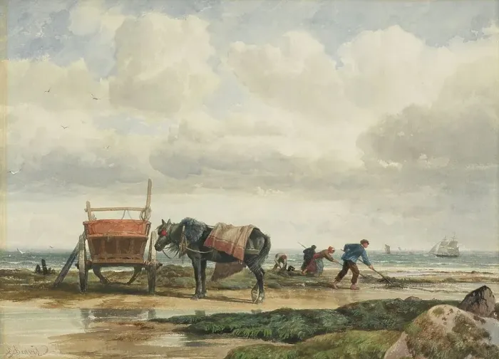 Framed Print : Gathering seaweed, 1860s-1880s. Creator: Richard Beavis Framed Print : Gathering seaweed, 1860s-1880s. Creator: Richard Beavis