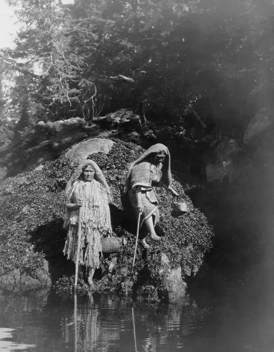 Framed Print : Gathering seaweed-Clayoquot, c1910. Creator: Edward Sheriff Curtis Framed Print : Gathering seaweed-Clayoquot, c1910. Creator: Edward Sheriff Curtis