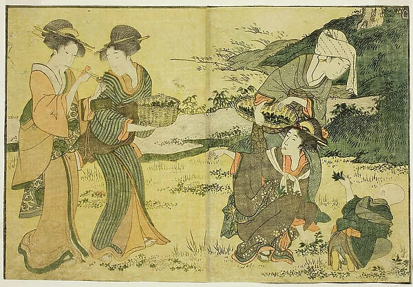 Gathering Spring Herbs, from the illustrated book 'Picture Book: Flowers of the... New Year, 1801. Creator: Kitagawa Utamaro. Gathering Spring Herbs, from the illustrated book 'Picture Book: Flowers of the... New Year, 1801