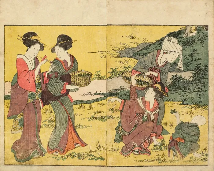 Framed Print : Gathering Spring Herbs. From the Picture Book of Flowers of the Four Seasons (Ehon shiki... 1801. Creator: Utamaro, Kitagawa (1753-1806) Framed Print : Gathering Spring Herbs. From the Picture Book of Flowers of the Four Seasons (Ehon shiki... 1801. Creator: Utamaro, Kitagawa (1753-1806)