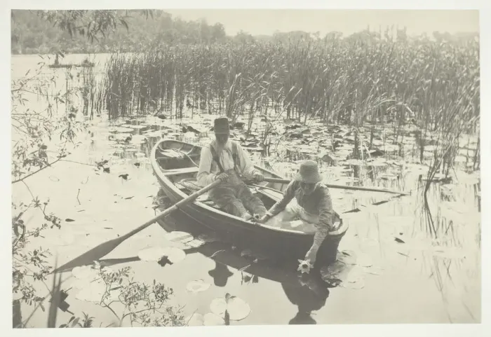 Framed Print : Gathering Water-Lilies, 1886, printed 1886. Creator: Peter Henry Emerson Framed Print : Gathering Water-Lilies, 1886, printed 1886. Creator: Peter Henry Emerson