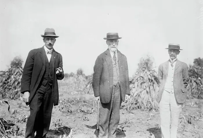 Framed Print : Gaynor with others in cornfield, St. James, L.I. 1910. Creator: Bain News Service Framed Print : Gaynor with others in cornfield, St. James, L.I. 1910. Creator: Bain News Service