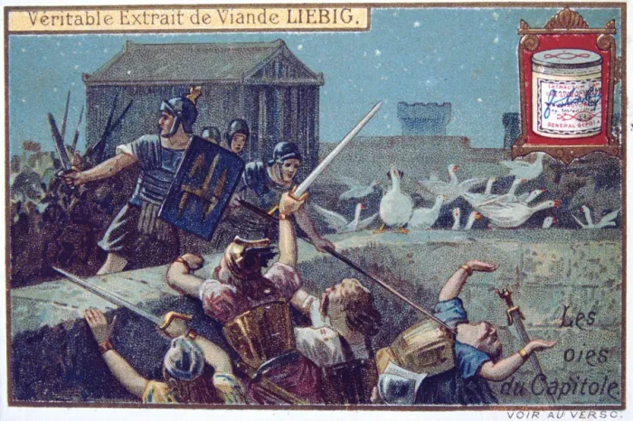Framed Print : The Geese of the Capital, Liebig continental trade card, c1900