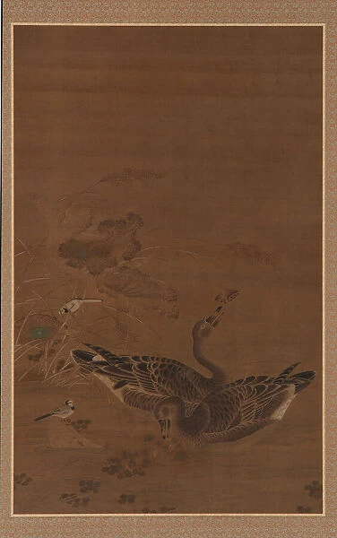 Two Geese Feeding in a Lotus Pond, Ming dynasty, 16th-17th century. Creator: Unknown
