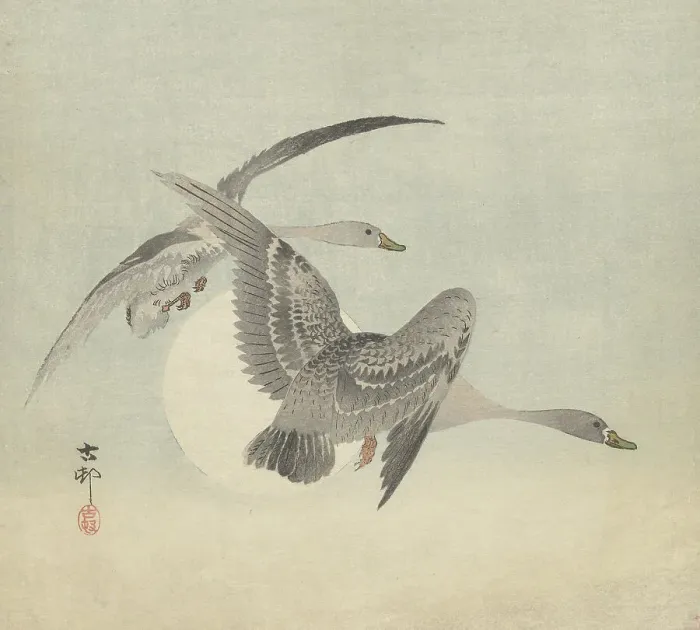 Framed Print : Two geese in flight. Creator: Ohara, Koson (1877-1945) Framed Print : Two geese in flight. Creator: Ohara, Koson (1877-1945)