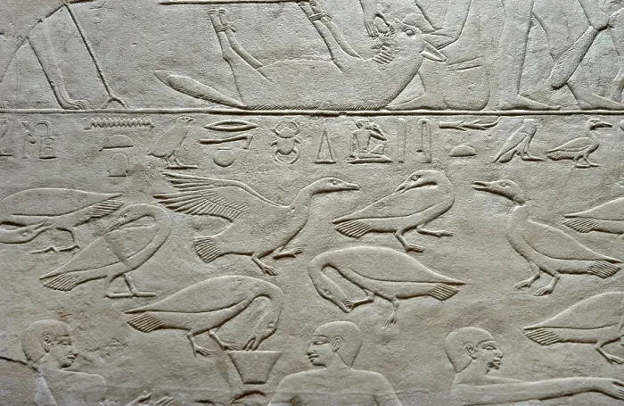 Framed Print : Geese relief, Mastaba of Kagemni, Saqqara, Egypt, Old Kingdom, 6th Dynasty, 2350 BC (2003). Creator: Unknown Framed Print : Geese relief, Mastaba of Kagemni, Saqqara, Egypt, Old Kingdom, 6th Dynasty, 2350 BC (2003). Creator: Unknown