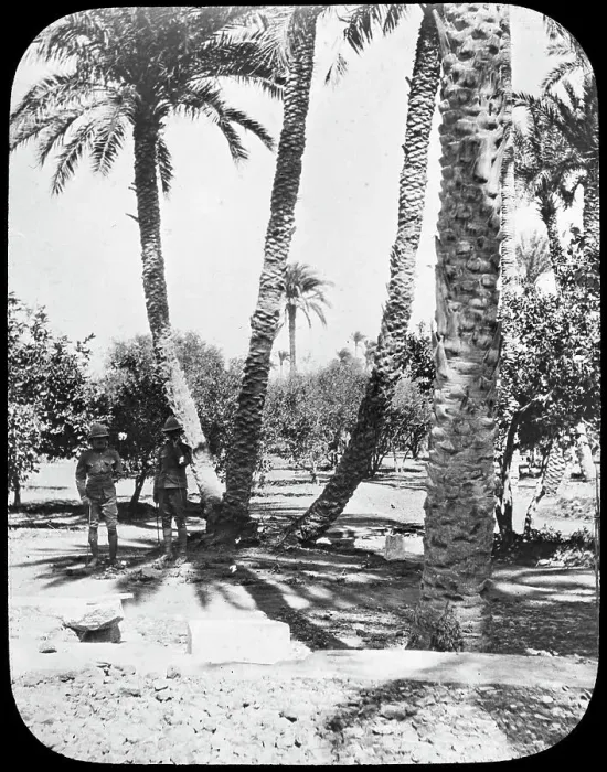 Framed Print : General Gordons Garden, Khartoum, Sudan, c1890. Artist: Newton & Co Framed Print : General Gordons Garden, Khartoum, Sudan, c1890. Artist: Newton & Co