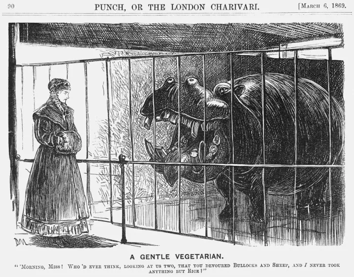 Framed Print : A Gentle Vegetarian, 1869. Artist: George du Maurier Framed Print : A Gentle Vegetarian, 1869. Artist: George du Maurier