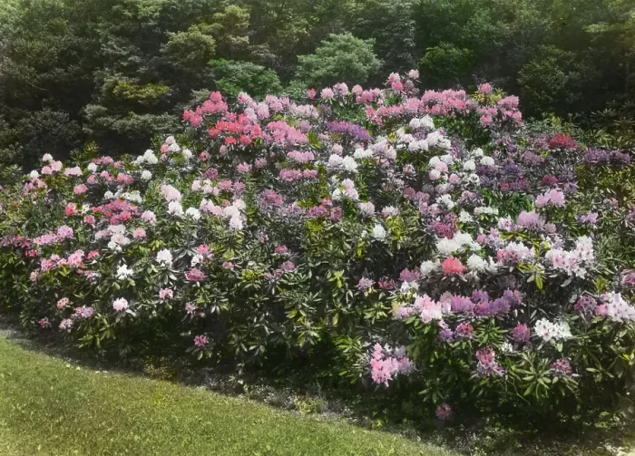 Framed Print : George Fisher Baker house, Tuxedo Park, New York, c1913. Creator: Frances Benjamin Johnston Framed Print : George Fisher Baker house, Tuxedo Park, New York, c1913. Creator: Frances Benjamin Johnston