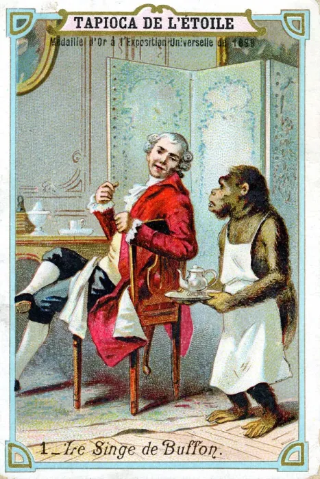 Framed Print : George-Louis Leclerc, Comte de Buffon, 18th century French naturalist, c1890 Framed Print : George-Louis Leclerc, Comte de Buffon, 18th century French naturalist, c1890