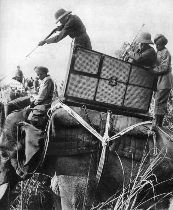 Framed Print : George V shooting tigers, India, 1911, (1935) Framed Print : George V shooting tigers, India, 1911, (1935)