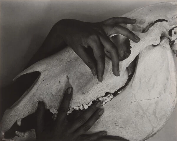Georgia O Keeffe - Hands and Horse Skull, 1931. Creator: Alfred Stieglitz