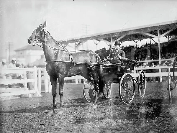 Gheen, J.O - Driving Boscobel In Horse Show, 1912. Creator: Harris & Ewing. Gheen, J.O - Driving Boscobel In Horse Show, 1912. Creator: Harris & Ewing