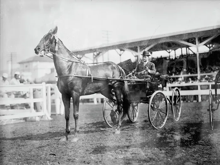Framed Print : Gheen, J.O - Driving Boscobel In Horse Show, 1912. Creator: Harris & Ewing. Gheen, J.O - Driving Boscobel In Horse Show, 1912. Creator: Harris & Ewing Framed Print : Gheen, J.O - Driving Boscobel In Horse Show, 1912. Creator: Harris & Ewing. Gheen, J.O - Driving Boscobel In Horse Show, 1912. Creator: Harris & Ewing