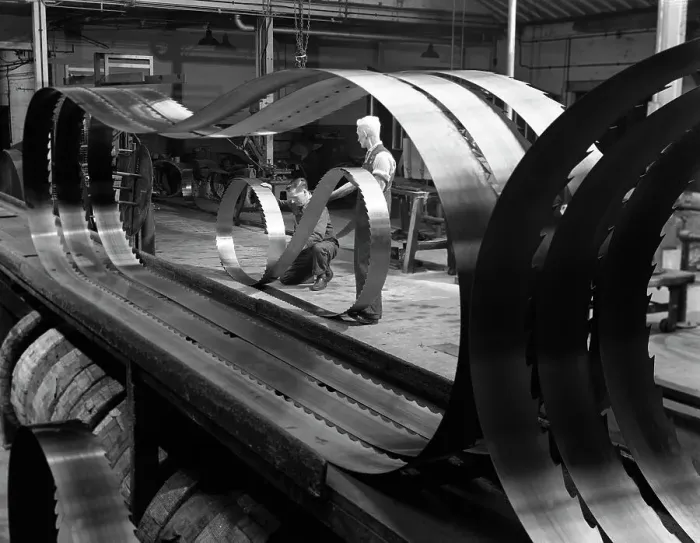 Framed Print : Giant bandsaw blades, Slack Sellers & Co, Sheffield, South Yorkshire, 1963. Artist Framed Print : Giant bandsaw blades, Slack Sellers & Co, Sheffield, South Yorkshire, 1963. Artist