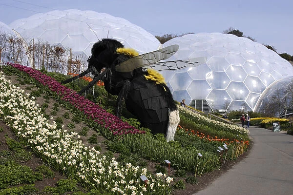 Giant bumble bee sculpture, Eden Project, near St Austell, Cornwall