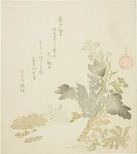 A Giant Radish (daikon), Chrysanthemums and Ferns, About 1820. Creator: Shinsai