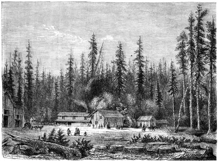Framed Print : Giant sequoia forest, California, 19th century. Artist: Paul Huet Framed Print : Giant sequoia forest, California, 19th century. Artist: Paul Huet