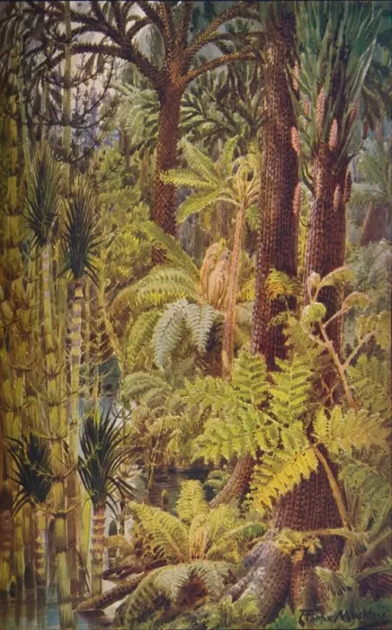 Framed Print : The gigantic vegetation of the Carboniferous Age, 1907 Framed Print : The gigantic vegetation of the Carboniferous Age, 1907
