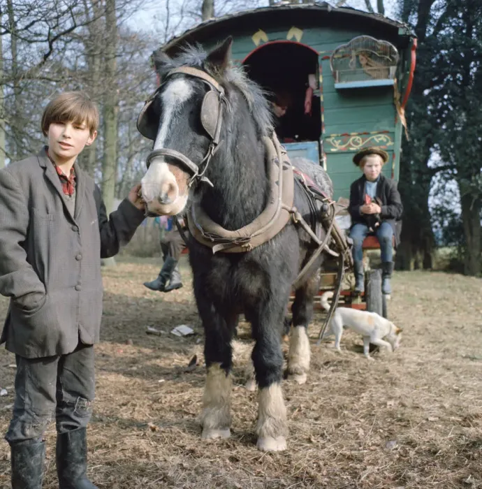 Framed Print : Gipsies with their horse-drawn caravan, Charlwood, Newdigate area, Surrey, 1964 Framed Print : Gipsies with their horse-drawn caravan, Charlwood, Newdigate area, Surrey, 1964