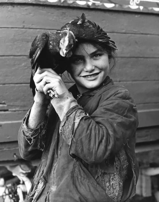 Framed Print : Gipsy girl holding a chicken, 1960s Framed Print : Gipsy girl holding a chicken, 1960s