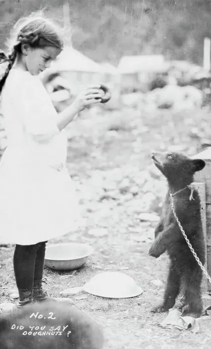 Framed Print : Girl and bear cub, between c1900 and 1916. Creator: Unknown Framed Print : Girl and bear cub, between c1900 and 1916. Creator: Unknown