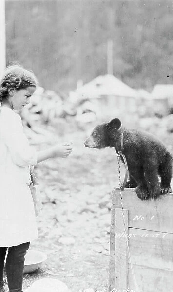 Girl and bear cub, between c1900 and 1916. Creator: Unknown