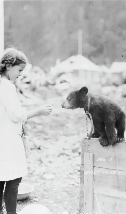 Framed Print : Girl and bear cub, between c1900 and 1916. Creator: Unknown Framed Print : Girl and bear cub, between c1900 and 1916. Creator: Unknown