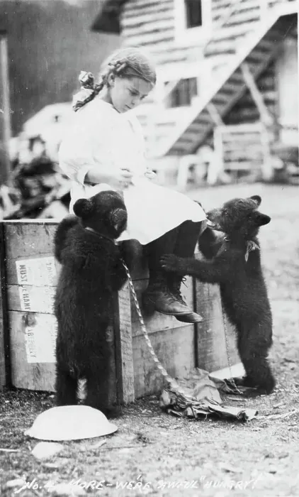 Framed Print : Girl with bear cubs, between c1900 and c1930. Creator: Unknown Framed Print : Girl with bear cubs, between c1900 and c1930. Creator: Unknown