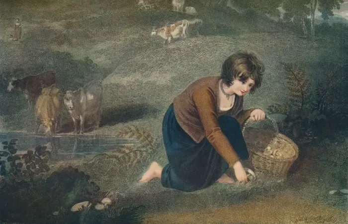 Framed Print : A Girl Gathering Mushrooms, 1800, (1917). Artist: Robert Mitchell Meadows Framed Print : A Girl Gathering Mushrooms, 1800, (1917). Artist: Robert Mitchell Meadows