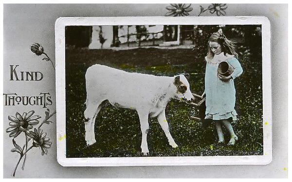 Girl about to milk a cow, greetings card, c1890-1910(?)