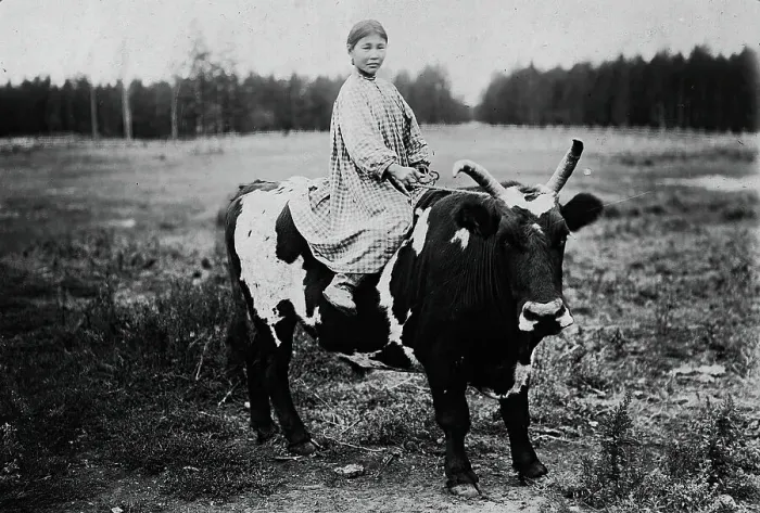 Framed Print : A girl riding a bull, 1890. Creator: Unknown Framed Print : A girl riding a bull, 1890. Creator: Unknown