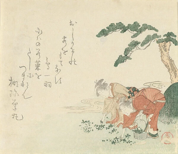Two Girls Collect New Years Herbs, 1797. Creator: Kubo Shunman