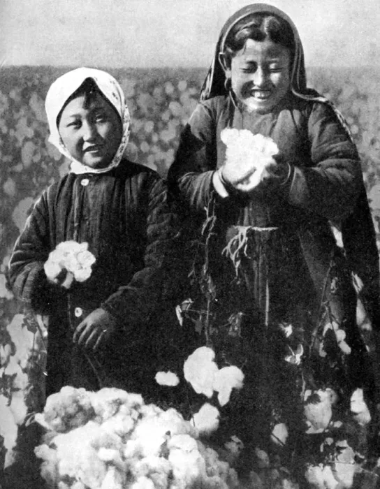 Framed Print : Girls in a cotton field, Kazakhstan, 1936 Framed Print : Girls in a cotton field, Kazakhstan, 1936