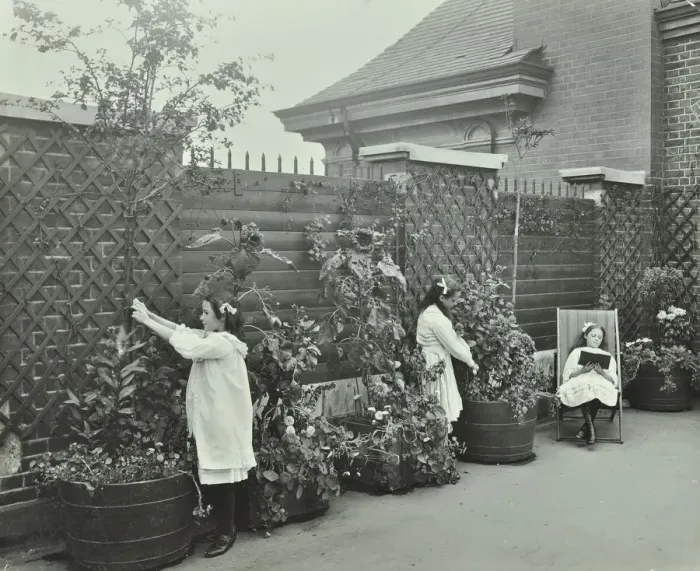 Framed Print : Girls gardening and reading in a roof top garden, White Lion Street School, London, 1912 Framed Print : Girls gardening and reading in a roof top garden, White Lion Street School, London, 1912
