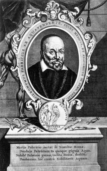 Framed Print : Girolamo Fabrici, Italian anatomist and surgeon, 17th century Framed Print : Girolamo Fabrici, Italian anatomist and surgeon, 17th century