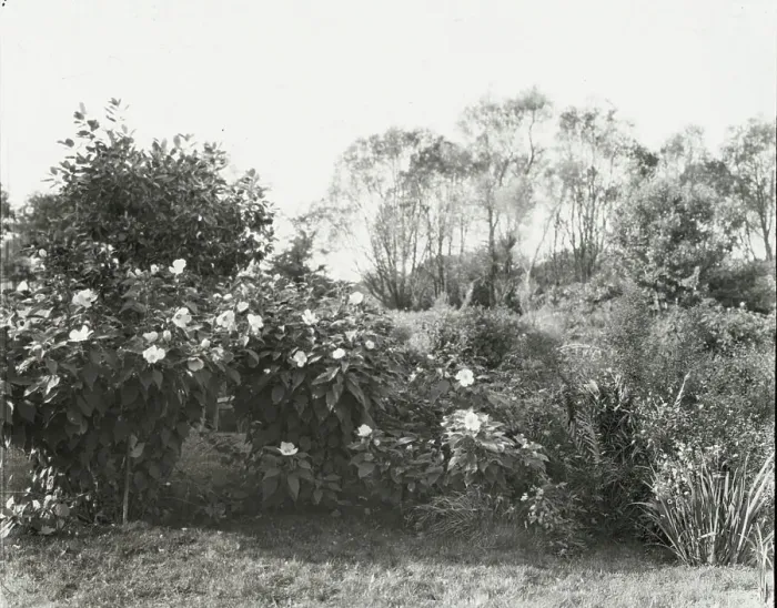 Framed Print : Glen Oaks, James Hobart Moore house, East Valley Road, Montecito, California, 1917. Creator: Frances Benjamin Johnston. Glen Oaks, James Hobart Moore house, East Valley Road, Montecito, California, 1917 Framed Print : Glen Oaks, James Hobart Moore house, East Valley Road, Montecito, California, 1917. Creator: Frances Benjamin Johnston. Glen Oaks, James Hobart Moore house, East Valley Road, Montecito, California, 1917