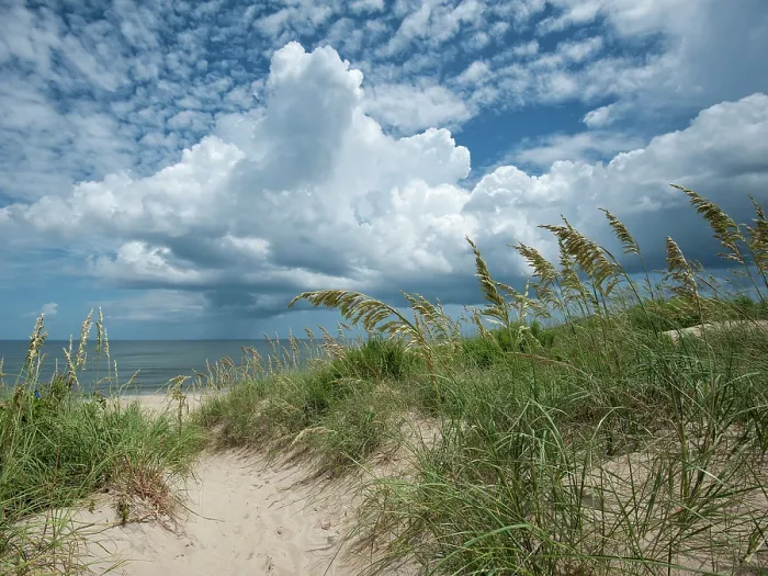 Framed Print : A Glorious Day. Creator: Eve Turek Framed Print : A Glorious Day. Creator: Eve Turek