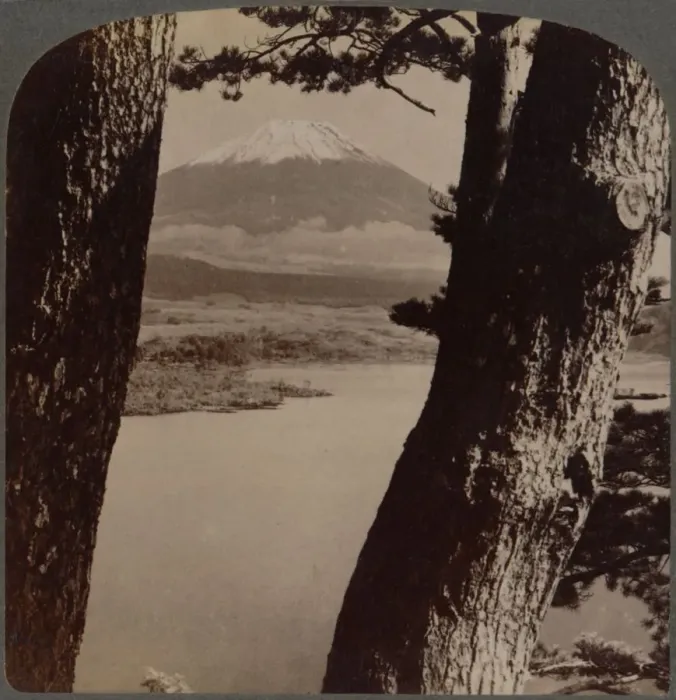 Framed Print : Glorious Fuji, beloved by artists and poets, seen through pines at Lake Motosu, Japan, 1904 Framed Print : Glorious Fuji, beloved by artists and poets, seen through pines at Lake Motosu, Japan, 1904