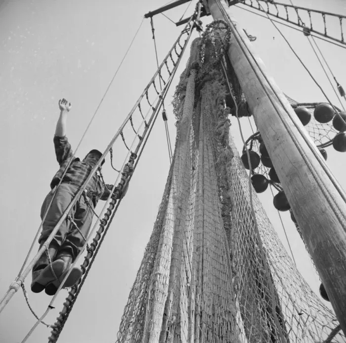 Framed Print : Gloucester fisherman standing in the rigging of a New England fishing boat, New York, 1943. Creator: Gordon Parks Framed Print : Gloucester fisherman standing in the rigging of a New England fishing boat, New York, 1943. Creator: Gordon Parks