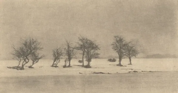 Framed Print : Gnarled-Thorn Trees, c. 1890, printed c. 1895. Creator: Dr Peter Henry Emerson Framed Print : Gnarled-Thorn Trees, c. 1890, printed c. 1895. Creator: Dr Peter Henry Emerson